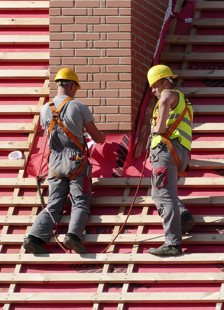 man, roofers, handyman